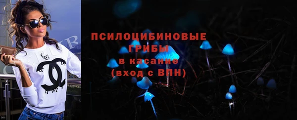 трава Медвежьегорск