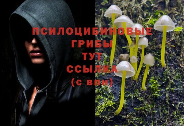 трава Медвежьегорск